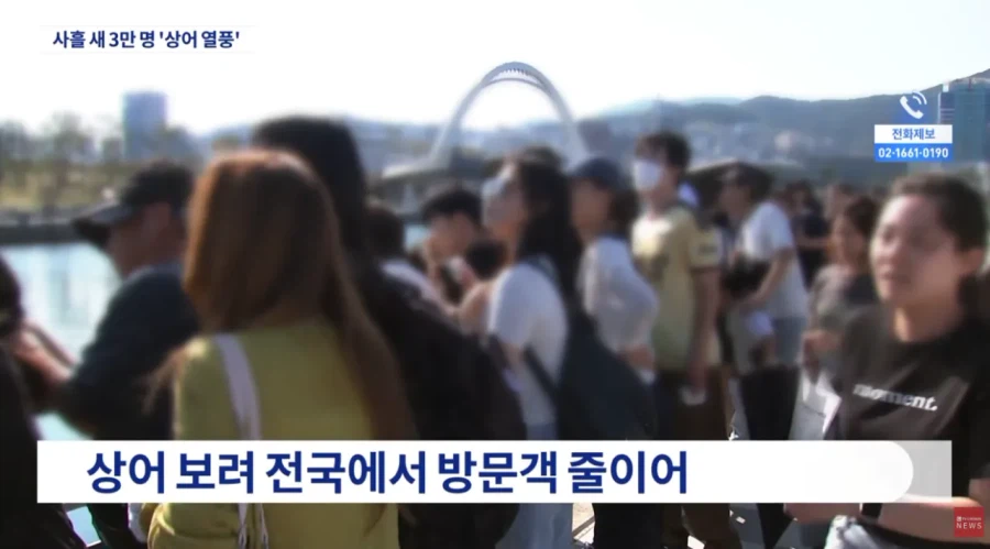 부산 상어 보려고 온 사람들 3일만에 3만명 몰렸다
