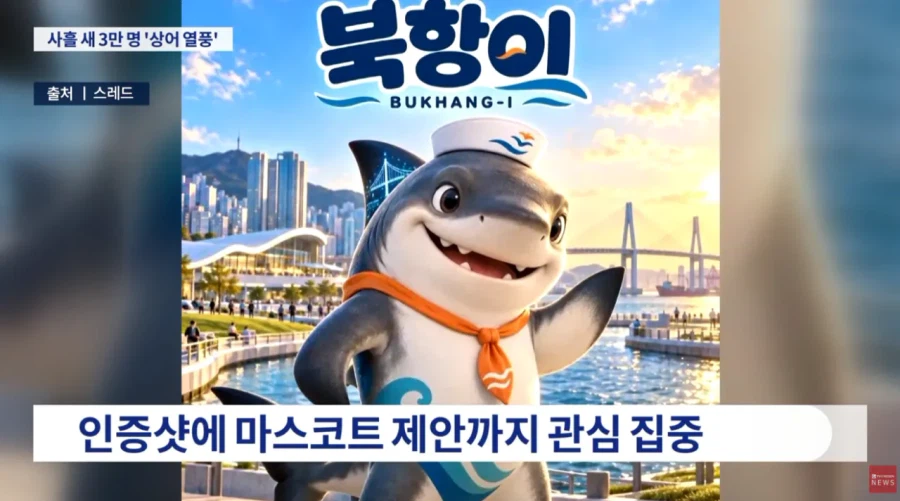 부산 상어 보려고 온 사람들 3일만에 3만명 몰렸다