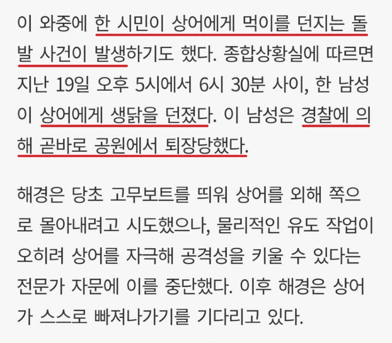 아제가 상어한테 생닭 던졌다 해경한테 쫓겨남news