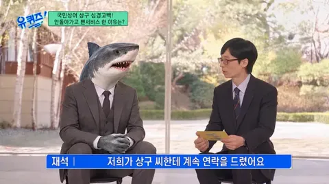 부산 상어..새끼로 보이는 아기상어 발견