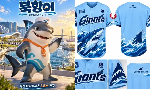 부산 상어..새끼로 보이는 아기상어 발견