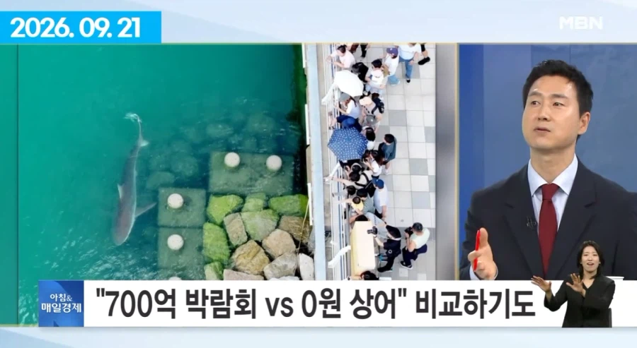 여수섬박람회 부산 상어에 N번째 사망.jpg