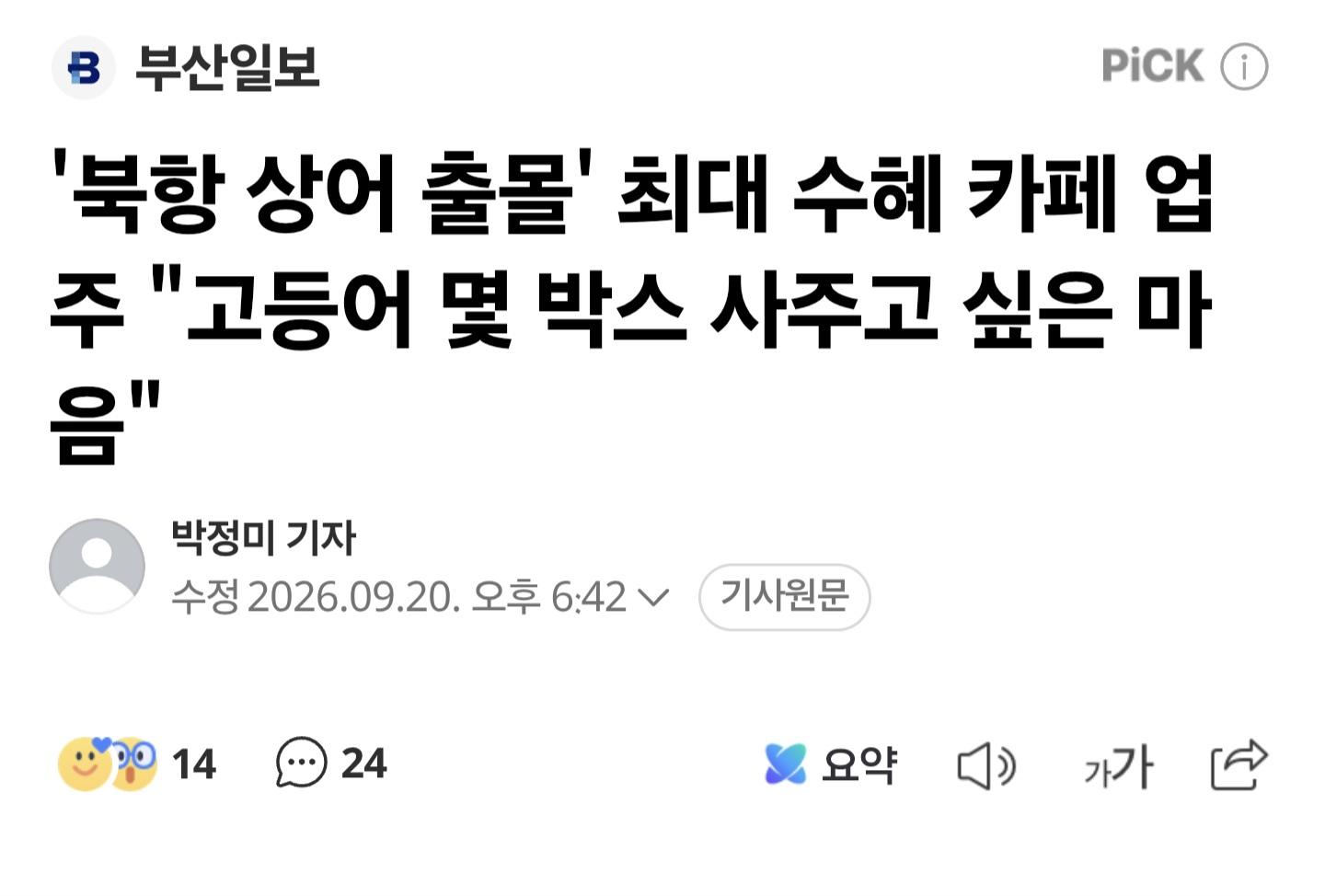 부산 앞바다 상어 출현 나흘째. 아기상어까지 출현