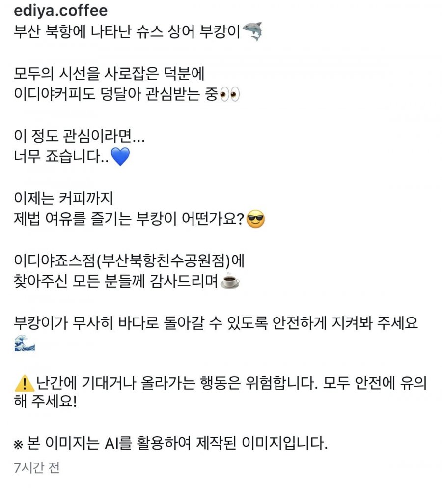 이디야 커피 공식 인스타에 올라온 상어 이미지