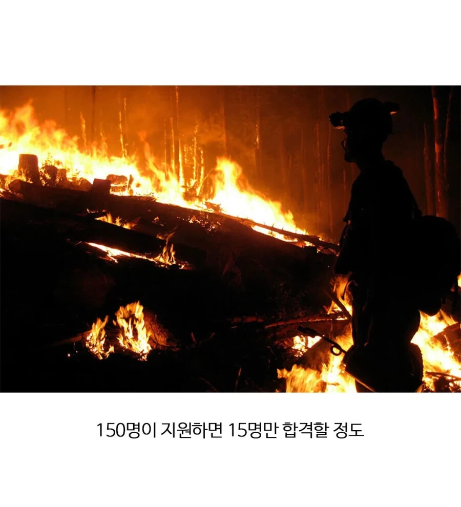 미국에서 엄청난 자랑이라는 직업.jpg