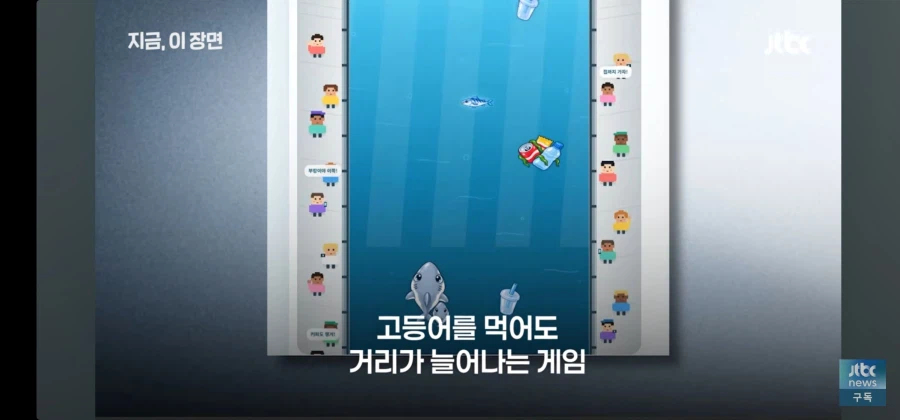 부산 북항 상어 근황