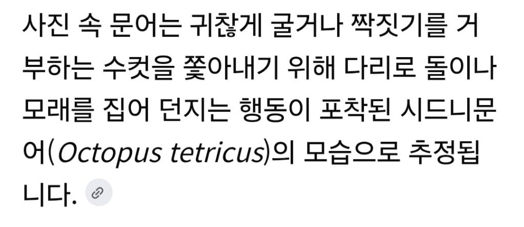 문어도 외모 따지는듯