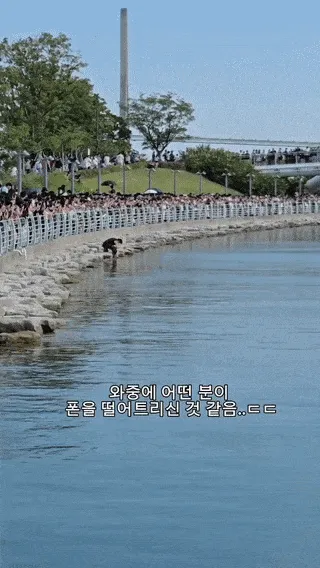 상어 찍으려다 '풍덩', 폰 찾으러 넘어간 시민…5분도 안 돼 '등 지느러미' 출현