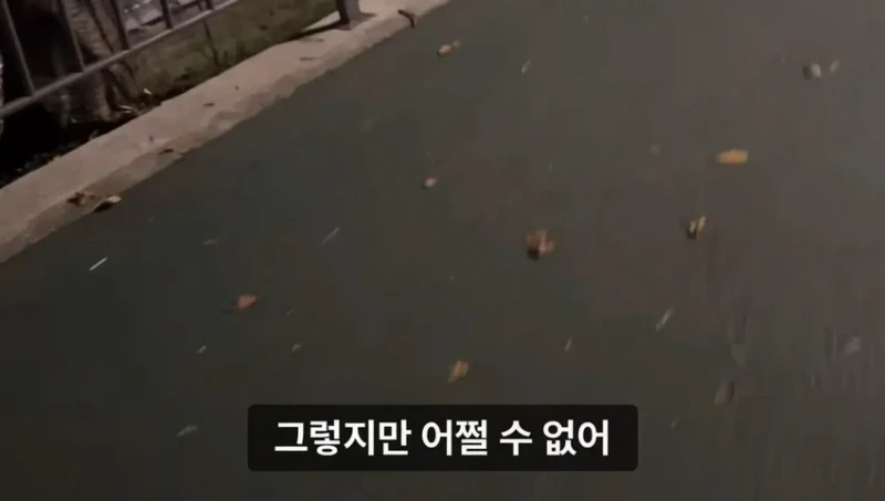 군대 안 가본 여자의 20kg 20km 행군 도전기