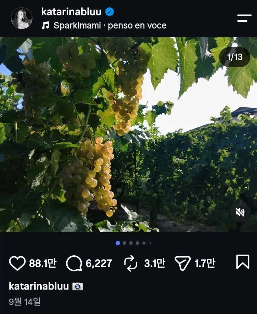 카리나 SNS 팔로우가 많은 이유