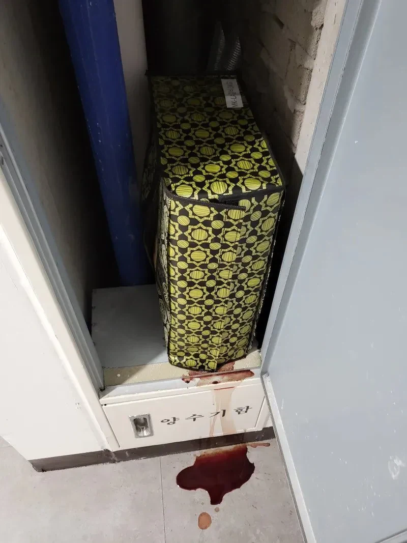 추석 명절 양수기함에서 흘러내리는 핏물.jpg