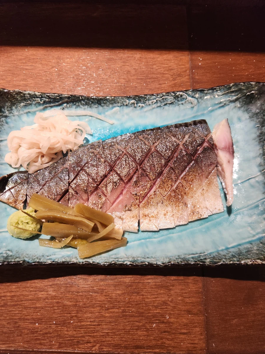 마운자로 효과 좋다