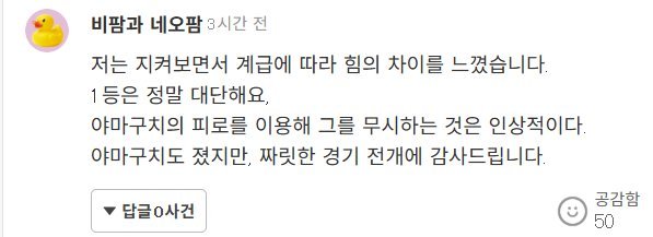 안세영 금메달 일본 반응