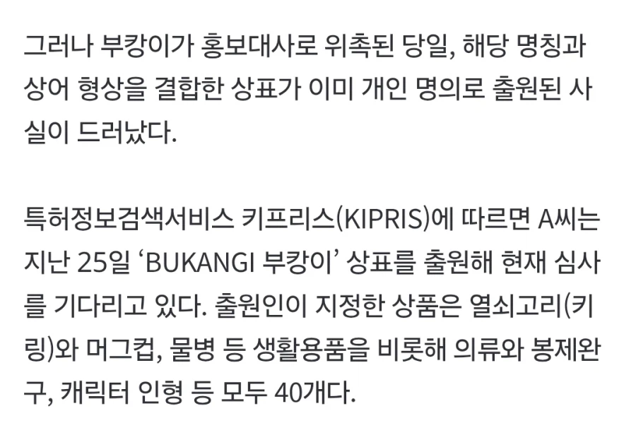 부캉이를 명예홍보대사로 위촉하려던 부산 시.