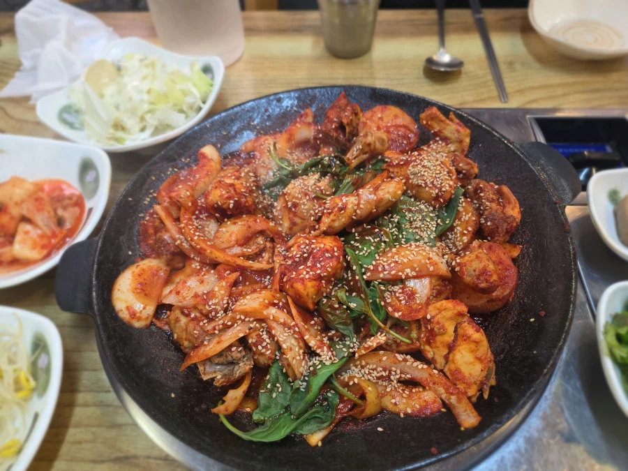 마운자로 1년차