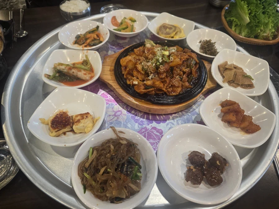 마운자로 1년차