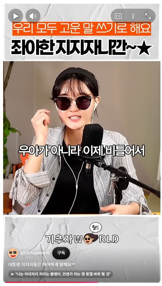 '좌아하게' 라는 단어가 이재명 지지자들이 쓰기 시작한 단어인가 보네요