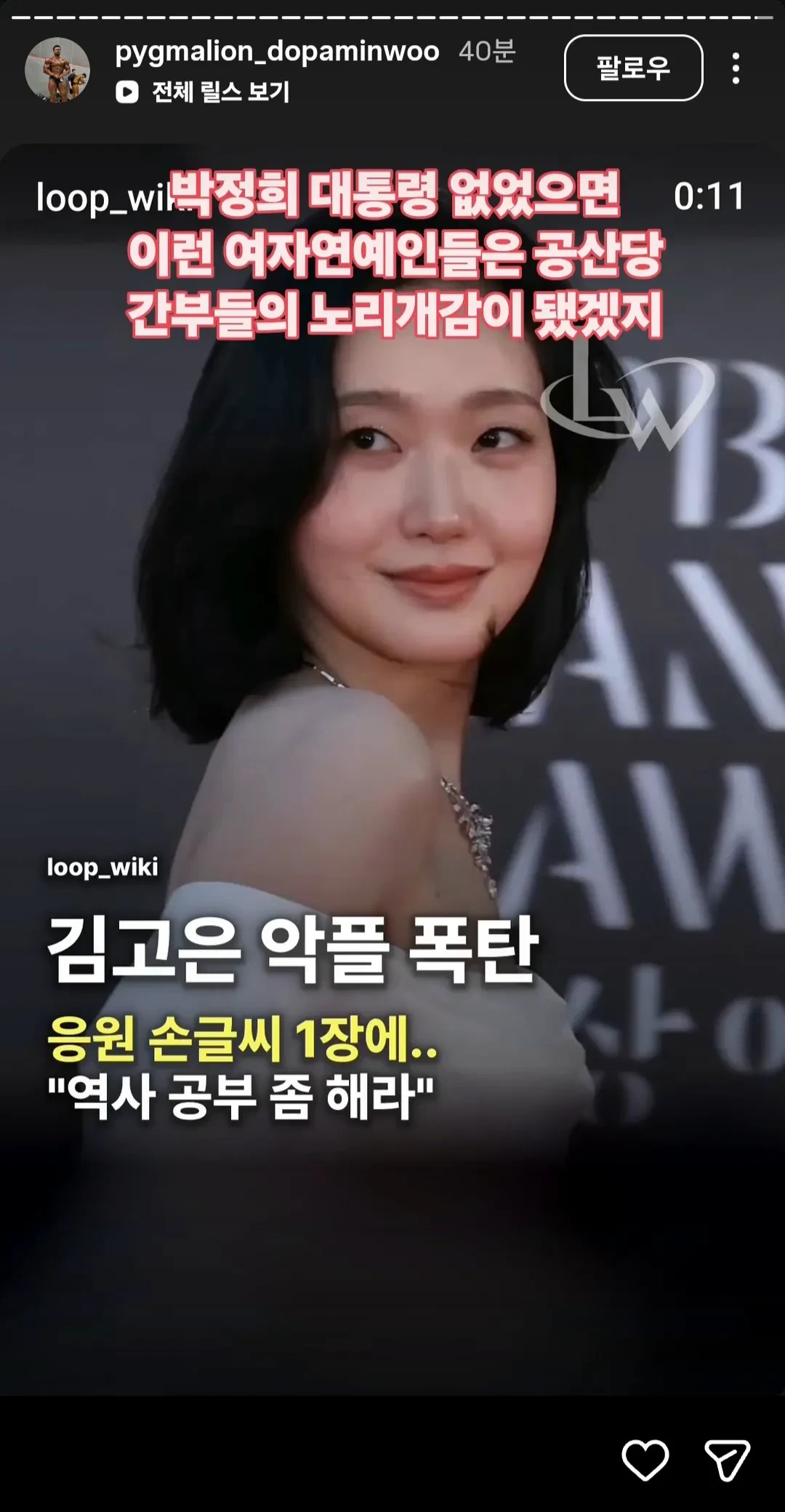 한 보디빌더의 암살자(들) 김고은관련 인스타 스토리.jpg