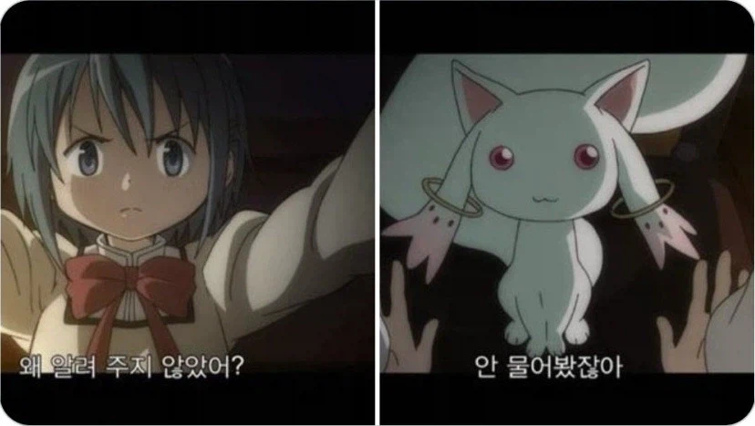 말포이 ts를 알게된 외국인들
