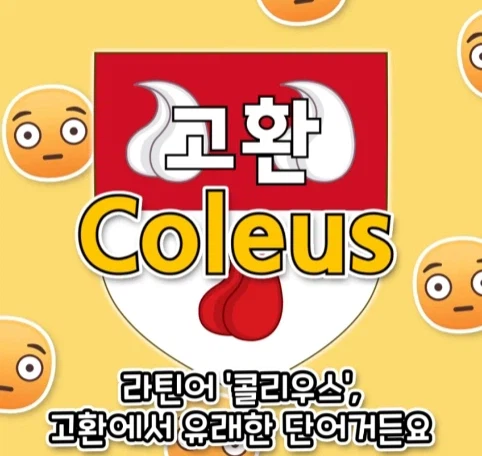 가문 시조의 취향 때문에 고통 받는 후손들.jpg