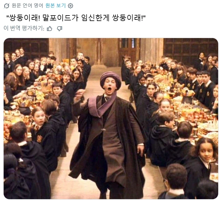 말포이 TS짤에 자주 보이는 덤블도어
