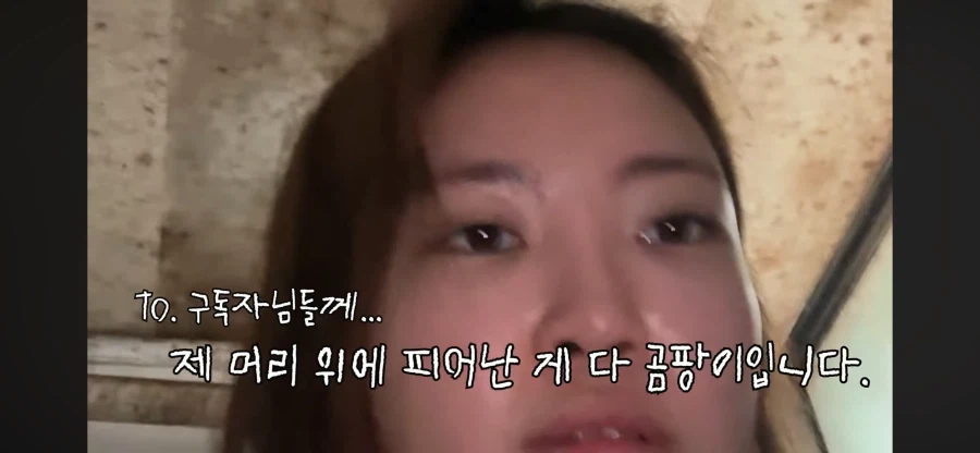 리뷰 1점대 고시원 살아보기 시도하는 여자 유튜버.