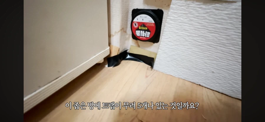 리뷰 1점대 고시원 살아보기 시도하는 여자 유튜버.
