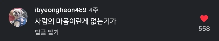 치이카와) 스포) 극장판을 본 팬이 만든 것