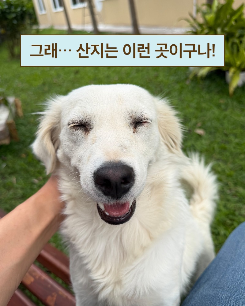 insta 대표님에게 콜롬비아 출장사진 요청했더니