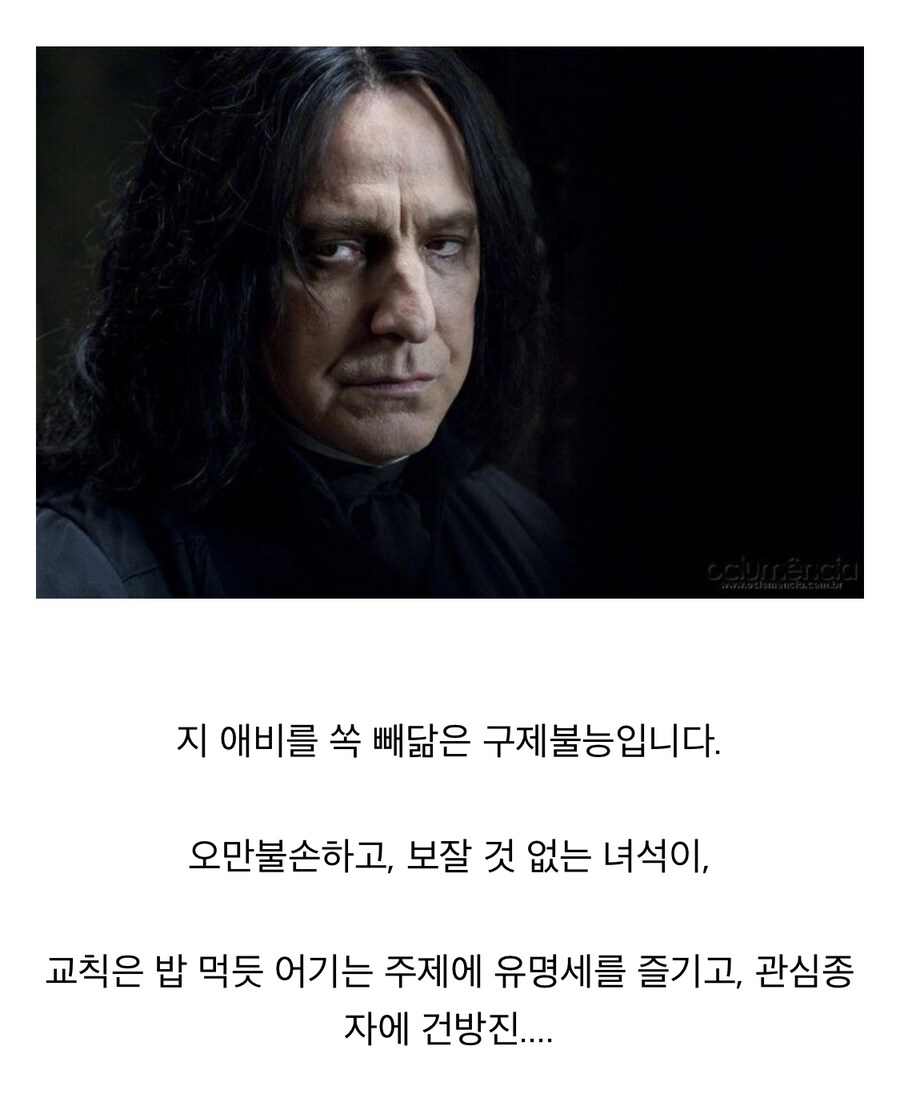 해리포터) 스네이프의 시선에서 본 응애 해리