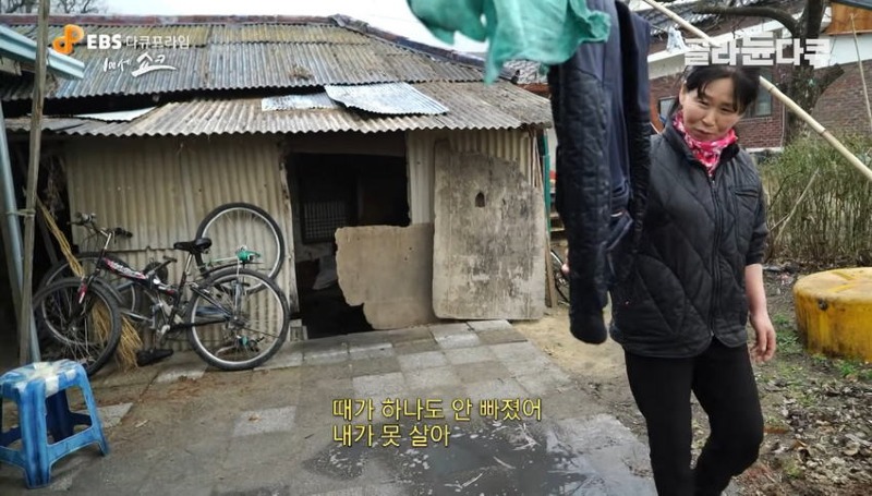 100세 노인의 일상