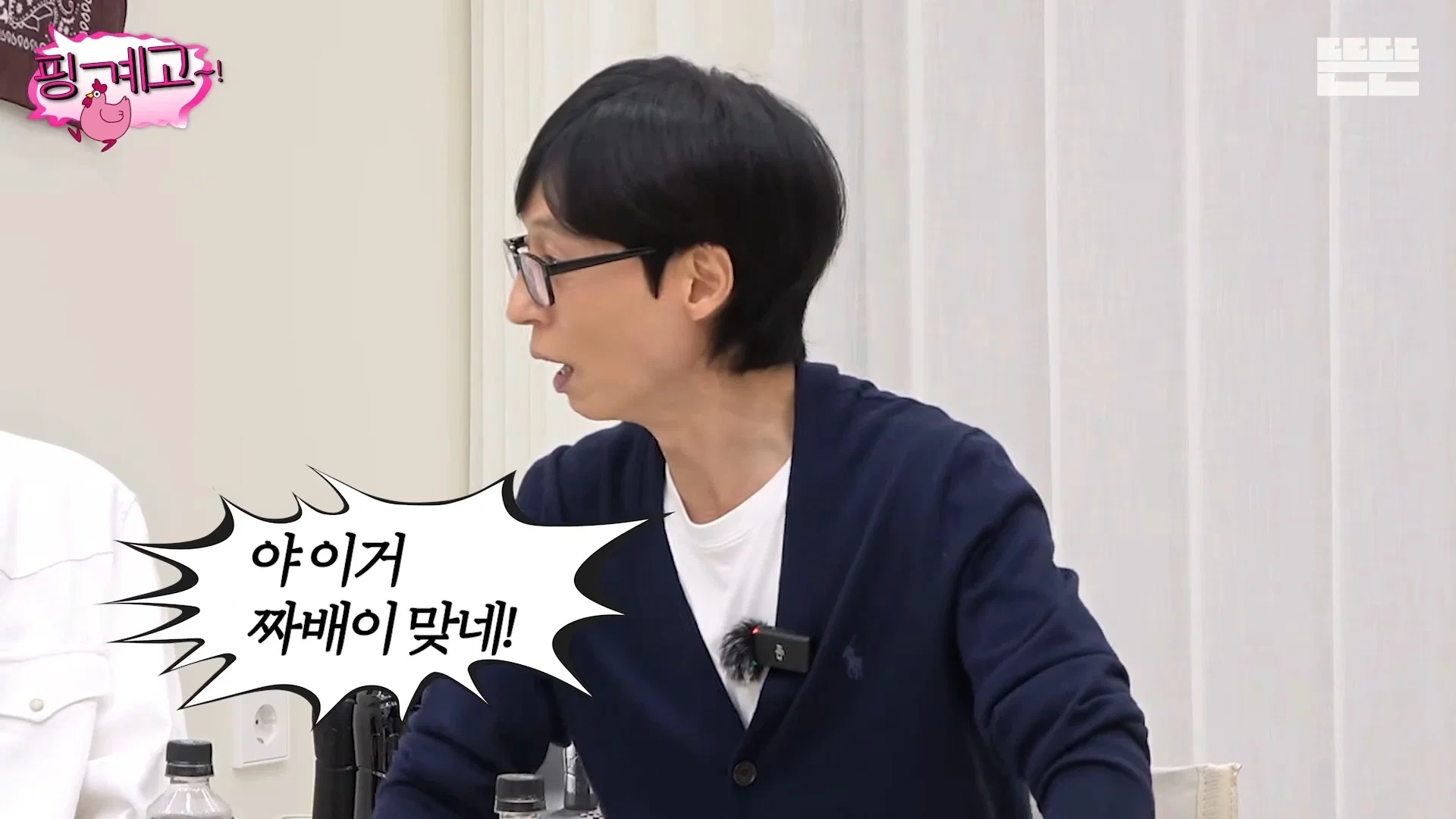 핑계고 고향 논쟁 : 태어난 곳 vs 자란 곳