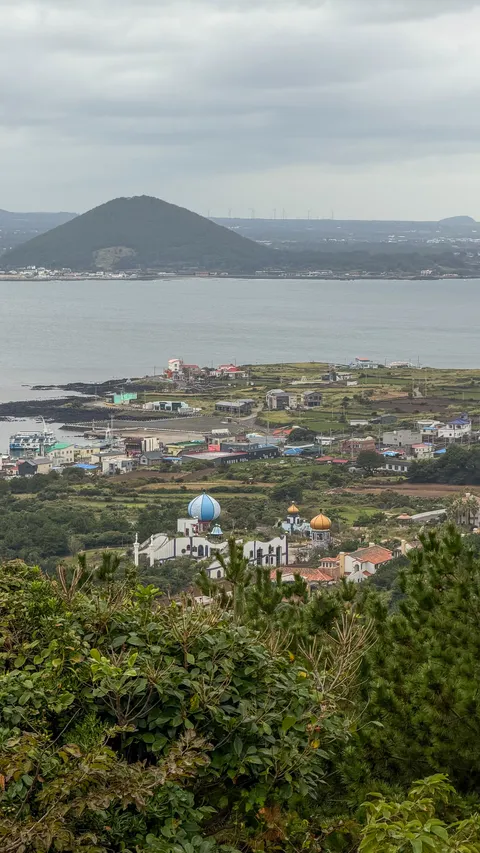 친구들과 제주 우도에 2박3일 여행을 했습니다.