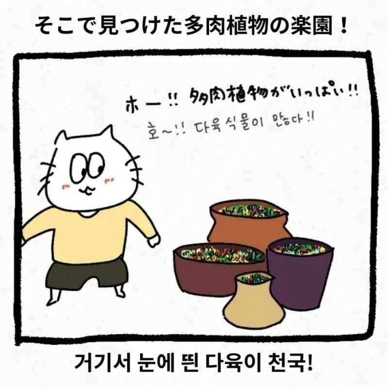 한국 시댁에 와서 이것저것 받아가는 일본 며느리