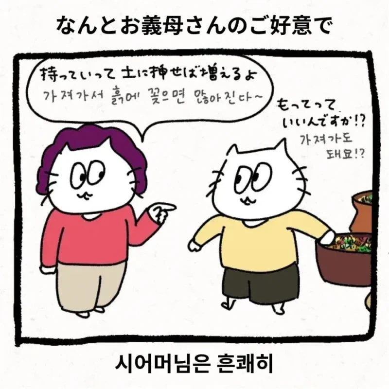 한국 시댁에 와서 이것저것 받아가는 일본 며느리