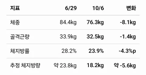 마운자로 약 3개월 후기