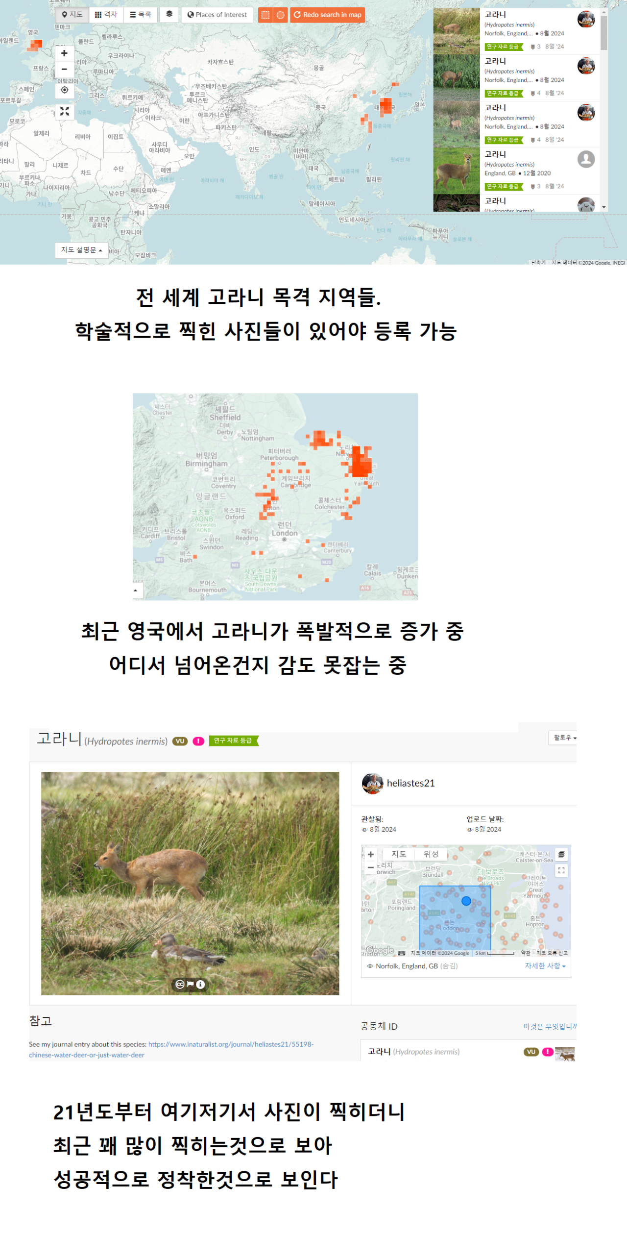 한국, 중국에서만 살던 고라니 근황