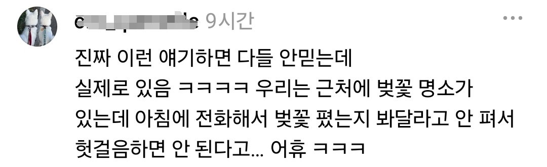 근처 카페에 가방을 두고 왔으니 가서 좀 찾아봐달라는 전화를 받은 만두집 사장님