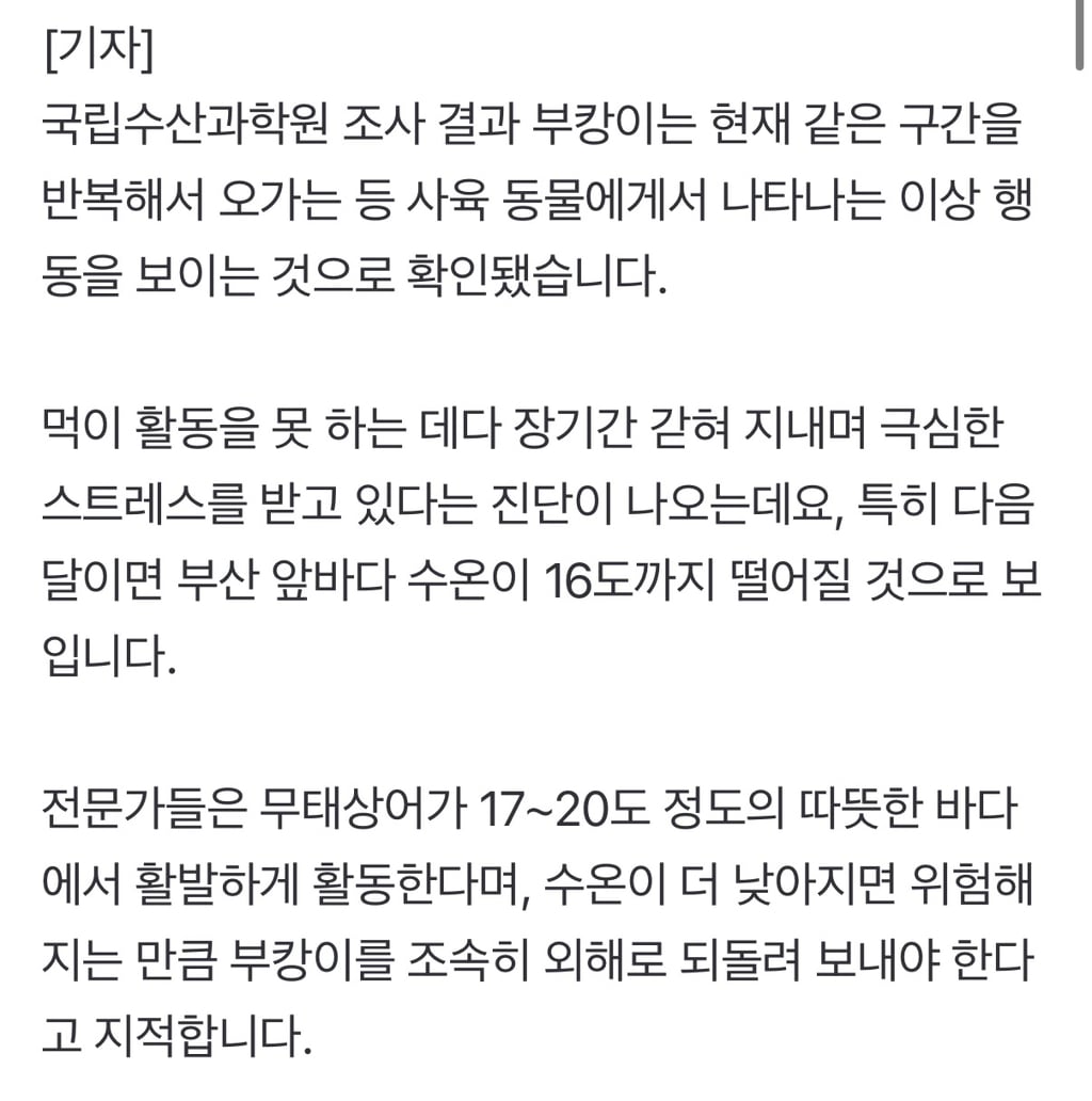 상어 '부캉이' 100만 관람객 돌파...당분간 추가 구조 없이 지켜보기로
