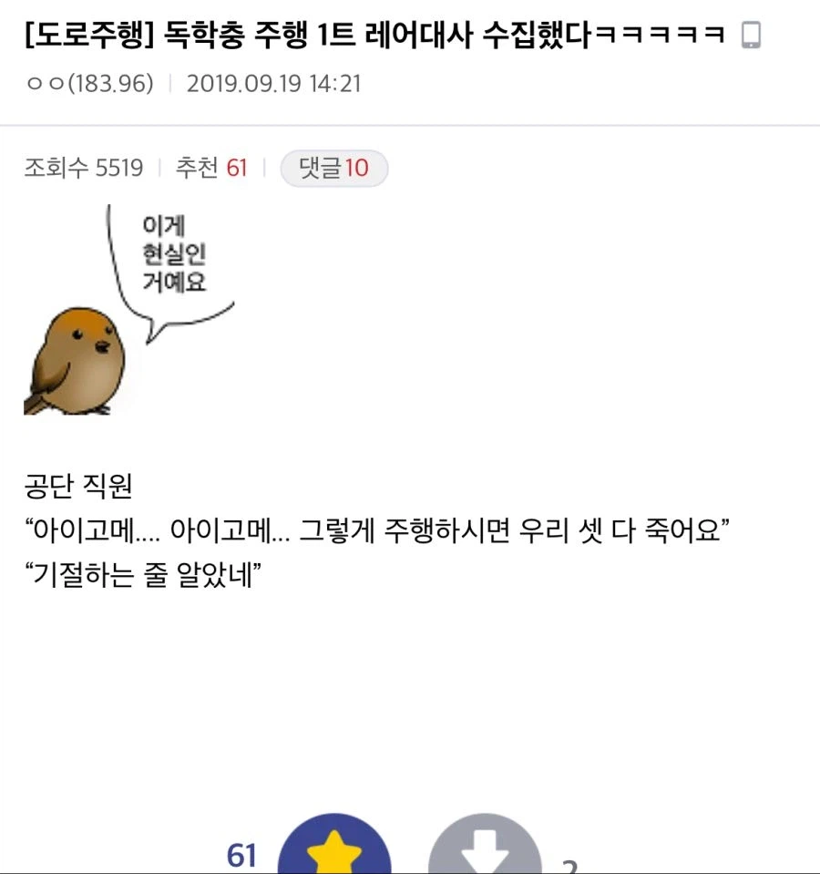 운전면허시험 보러 간 디씨인들