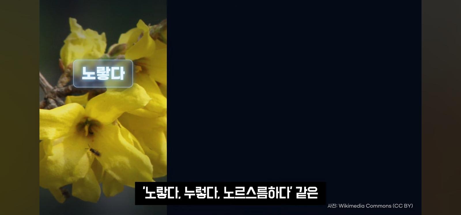 포장지에 한글 좀 넣어주세요