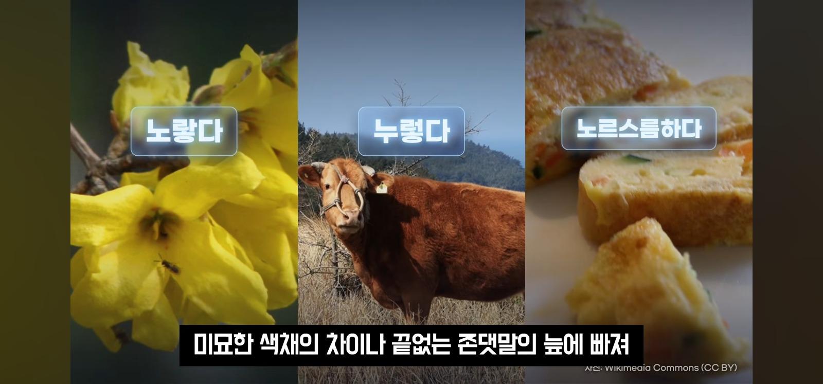포장지에 한글 좀 넣어주세요