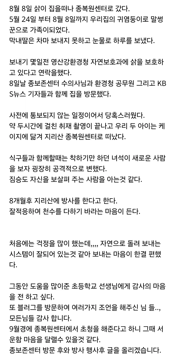 아기고양이를 주워온 블로거의 최후