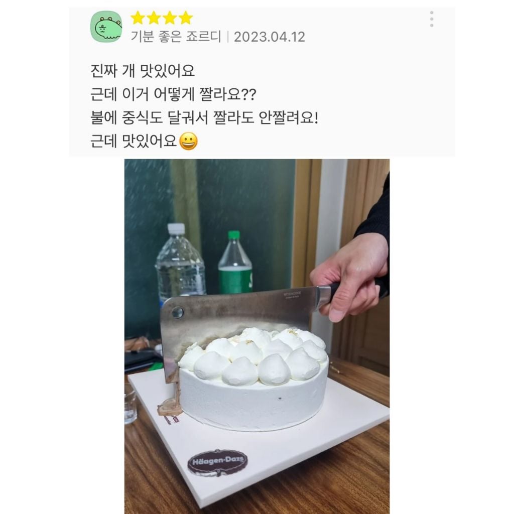 싱글벙글 하겐다즈 아이스크림 케이크 후기