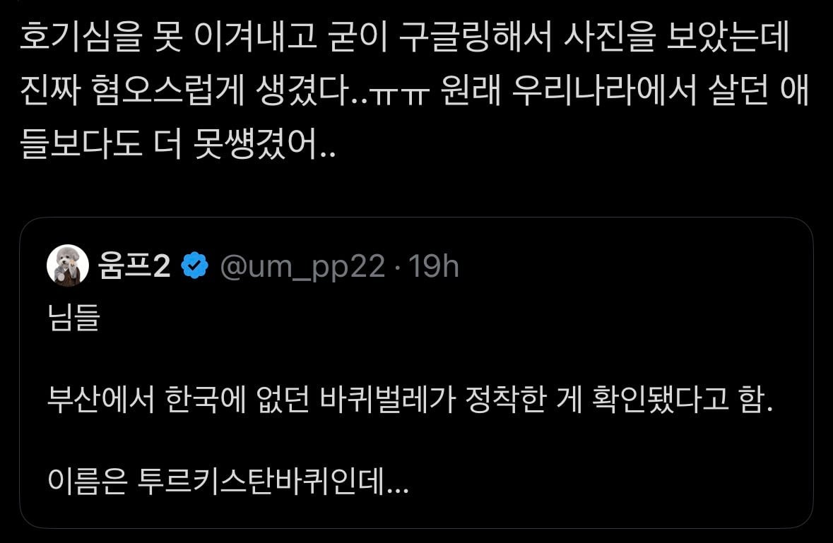 부산에서 한국에 없던 바퀴벌레가 정착한 게 확인됐다고 함