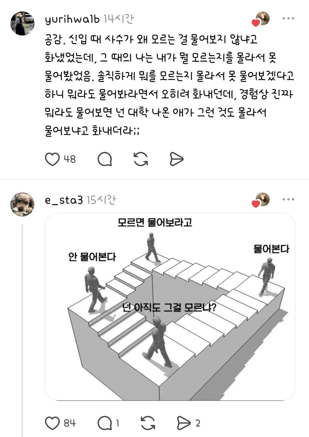 모르면 물어보라지만 신입은 본인이 뭘 모르는지조차 모를때가 있다