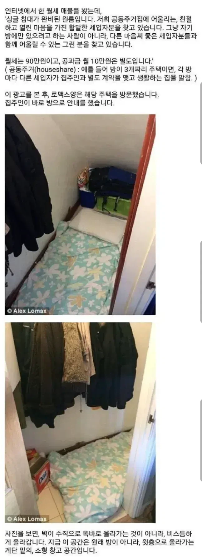 두둘리 가족들 재평가