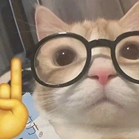 이상한고양이콘