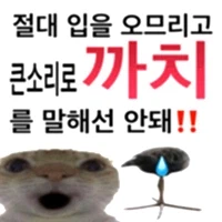 이상한고양이콘