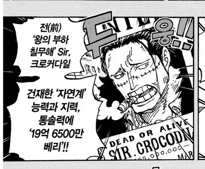 원피스 악어 현상금 관련 다시 보면 재밌는거